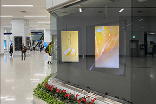 羽田空港にて空中ディスプレイデジタルサイネージの実証実験が実施されます。